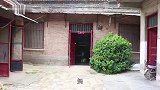 男子公司面临破产，全家人拧成一股绳渡难关，家永远是坚强的后盾