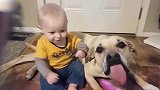 宝宝和狗狗同坐一排，宝爸拿起喷水器这样做，网友调皮了！