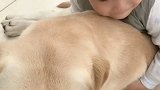 这小孩一天天的太折磨狗子了