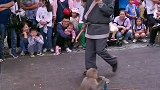猴子会溜溜车