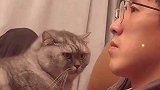 猫咪趴在男主人身上取暖，用挑衅的眼神，对着女主人