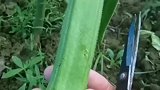 最美不过家乡水，最美味不过家乡菜