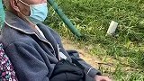 大爷坐在轮椅上，看着老伴和别的老头跳舞