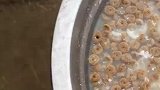 狗狗吃饭不断转圈，远看好似大风车