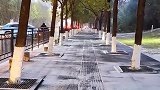 傍晚时分，衡阳终于飘起了鹅毛大雪-平湖公园长湖街随拍。