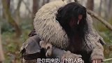 一个小女孩，如何把野人感动到哭