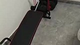 小鹰飞进室内，男子误以为是蝙蝠