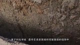 流浪狗被卡在墙缝里奄奄一息，幸得好心男子相救，镜头记录全过程