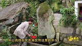 宁德深山藏有福建最神秘的寺庙，仍保留500年前明朝皇帝御题牌匾