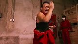 身边的萌宠的视频