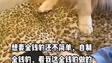一女子把自己的狗狗打扮成金钱豹的样子
