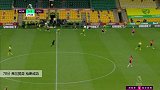 弗兰契奇 英超 2019/2020 诺维奇 VS 南安普顿 精彩集锦