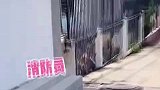 一群小可爱，新奇中带点仰慕的感觉