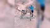 高人神操作 一个比一个牛啊