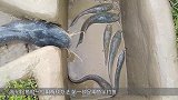 小伙制作捕鱼陷阱，在河边挖了一个大洞，最后收获了一桶大鱼