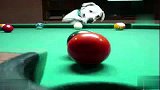 桌球-15年-汪星界桌球大师 小爪出球超级萌-新闻
