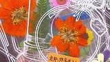 把初秋的美好装进瓶子里送给老师，亲手给老师做个好看的