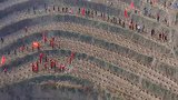 全民义务植树航拍让天更蓝山更绿水更清！