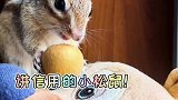 家里水果吃完了