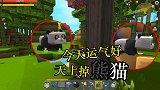 迷你世界荒岛求生81：叶子运气不错，赶路回家还遇见两只熊猫