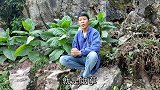 中国抽烟的人很多，见过烟草这种植物的没几个吧？今天就你见到了
