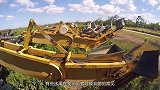 这水果在我国南方满山都是，在日本有钱人才吃得起，看看你吃过吗