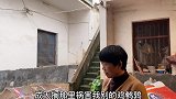 农村杀鸡土方法白酒灌醉，一只鸡能喝二两吗？迷醉后没有痛苦了
