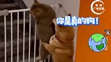 贵州兴义 果然猫狗是敌人 怎么能让我独自被关呢嘿嘿嘿……  萌宠