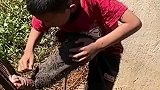 不小心掉进树丛，边哭边拔刺