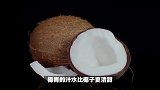 你真的了解椰青和椰子吗？一分钟教你如何区分！