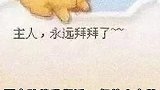 你还记得，那只陪你长大的小宠物吗