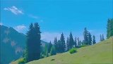 温柔暖水繁星万千，不及你眉眼半分