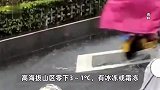 一夜速冻！阴冷+湿冷+风冷，广东人压箱底的羽绒服可以拿出来了