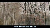 董洁潘粤明的婚变内幕，时隔年终于真相大白，原来我们都上当了