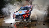 2020赛季WRC官方集锦 感受极速撞车以及疯狂的驾驶