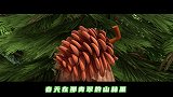 熊出没探险日记：春天在哪里，我们一起去追寻