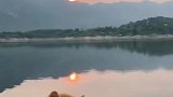 夕阳下的中华田园猫，看到眼前一幕，勾起了满满的童年回忆