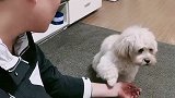 球球专治疑难杂症