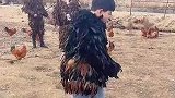 在农村生活就是不一样