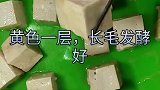 制作豆腐乳教程！