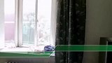 偷情男被拦坠亡阻拦者获刑10年 死者儿子要求死刑