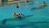 13岁女孩水世界解暑 救生员不断把其拽向深水区伸“咸猪手”