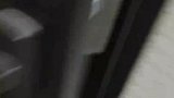 女生家里的猫独居一个月，反而还胖了3斤，开了灯有五秒没笑出来