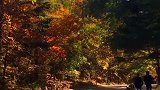 鞍山市千山风景区——绚丽的秋色