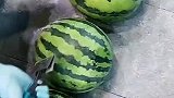 买了个西瓜，一打开越看越像植物大战僵尸里的冰冻瓜