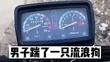 单挑就是你一个人单挑我们全部，群殴就是我们群殴你