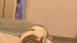 小猫咪闻了女生的脚后，做出的动作把女生气急了