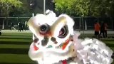 学生在操场上表演舞狮引围观，炫酷又拉风