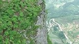 世界最危险的石头之一悬立在贵州大山悬崖上，摇摇欲坠太险了
