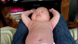 2周大的小宝宝，小肚子一鼓一鼓的，呼吸节奏可见太萌了